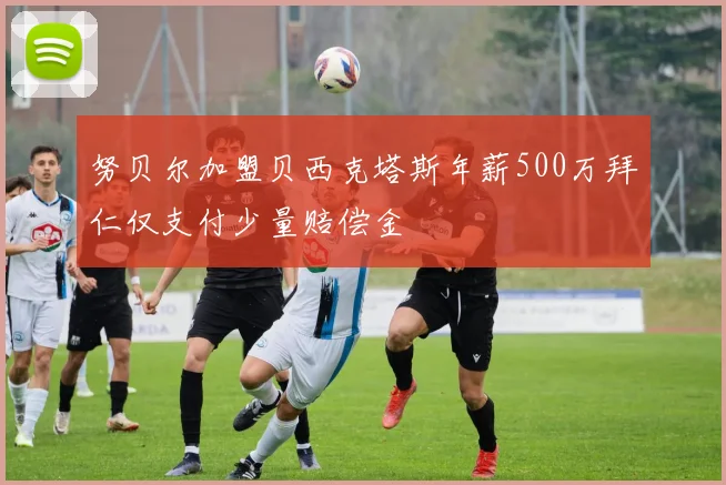 努贝尔加盟贝西克塔斯年薪500万拜仁仅支付少量赔偿金
